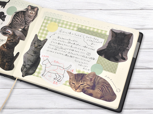 コウシ手帳の書き方例