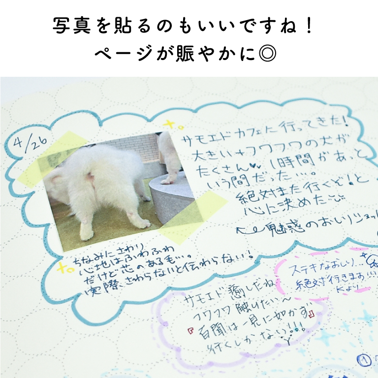 使い方のイメージ5