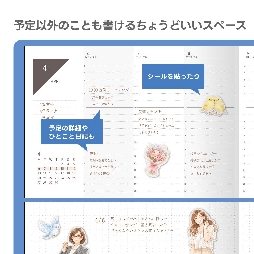 TETEFU ウィークリー 製品仕様3